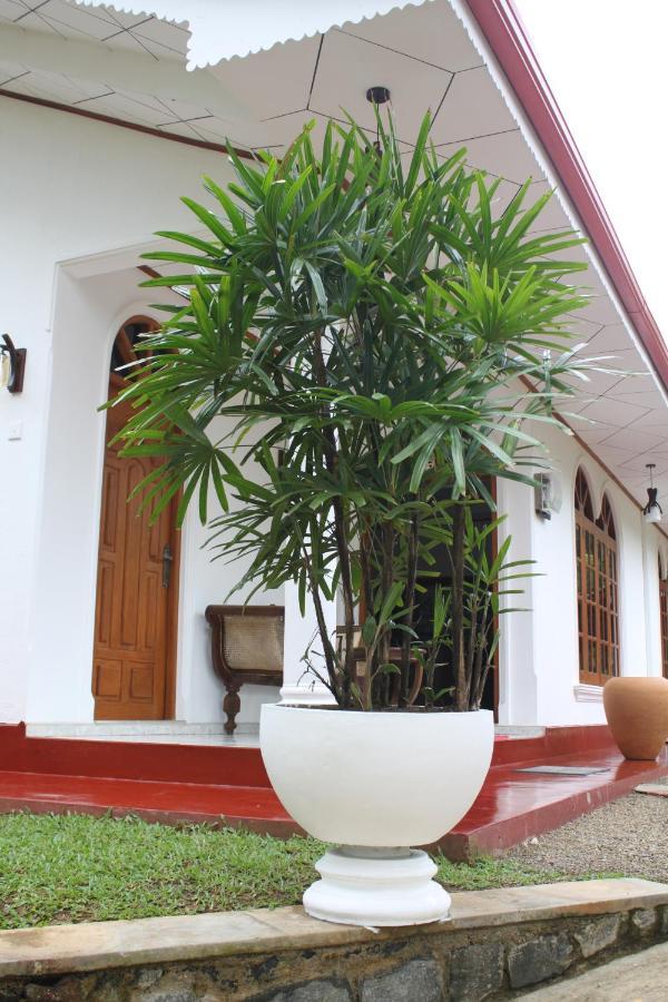 Ocean Villa Dickwella Exterior photo